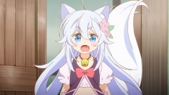 #1 本日の処方箋 その/猛烈ポーション/その/ランデンフラワー茶/その/ボタニカル消臭液